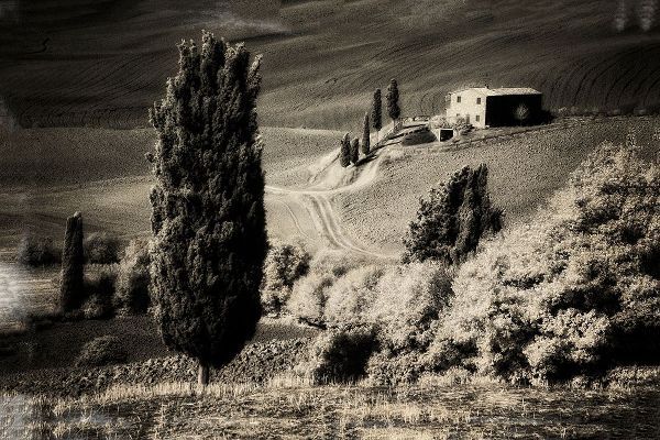 Eggers, Terry 아티스트의 Italy Tuscany-Villa in the Tuscan hillside작품입니다.